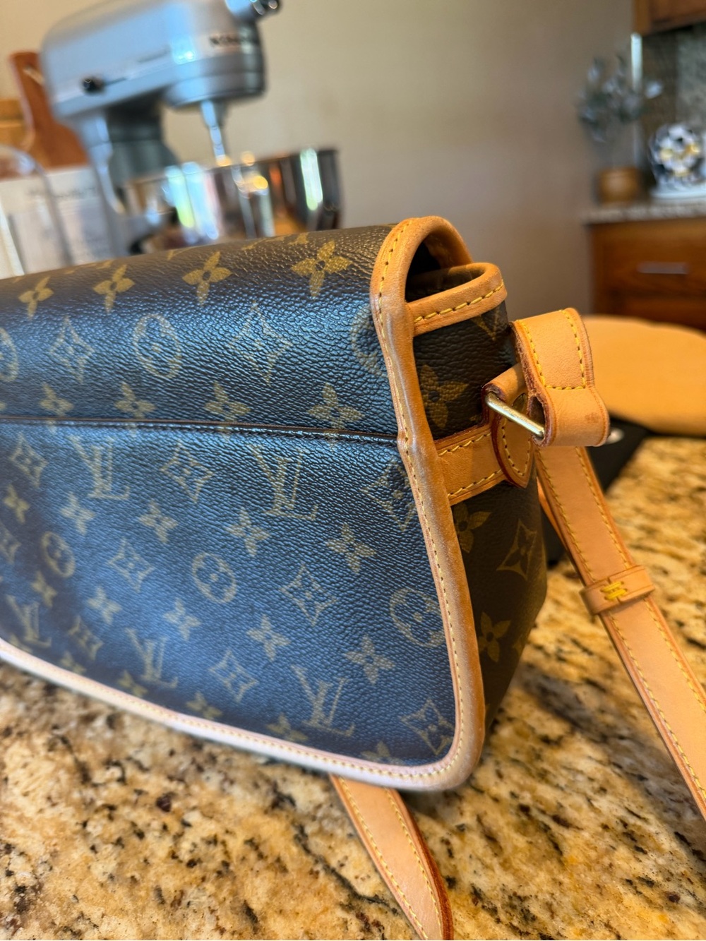 Louis Vuitton Monogram Sologne Crossbody Bag - Picture 10 of 12